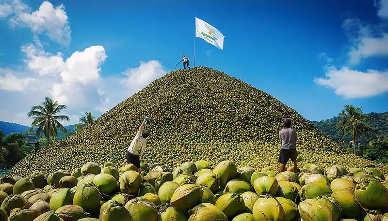 Transformando resíduos em soluções: a história de Cristiano e a SustentAgro