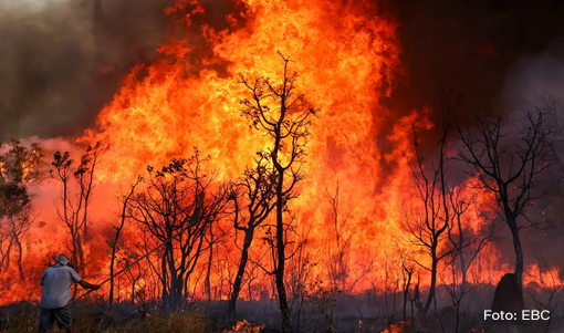 A altíssima ocorrência de incêndios no Brasil: como a tecnologia pode ajudar ?